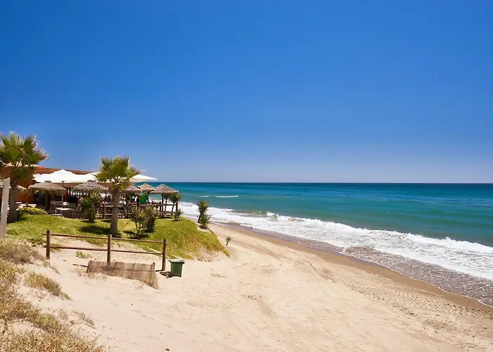 公寓 Oleholidays 233 Romana Playa Vistas Al Mar *